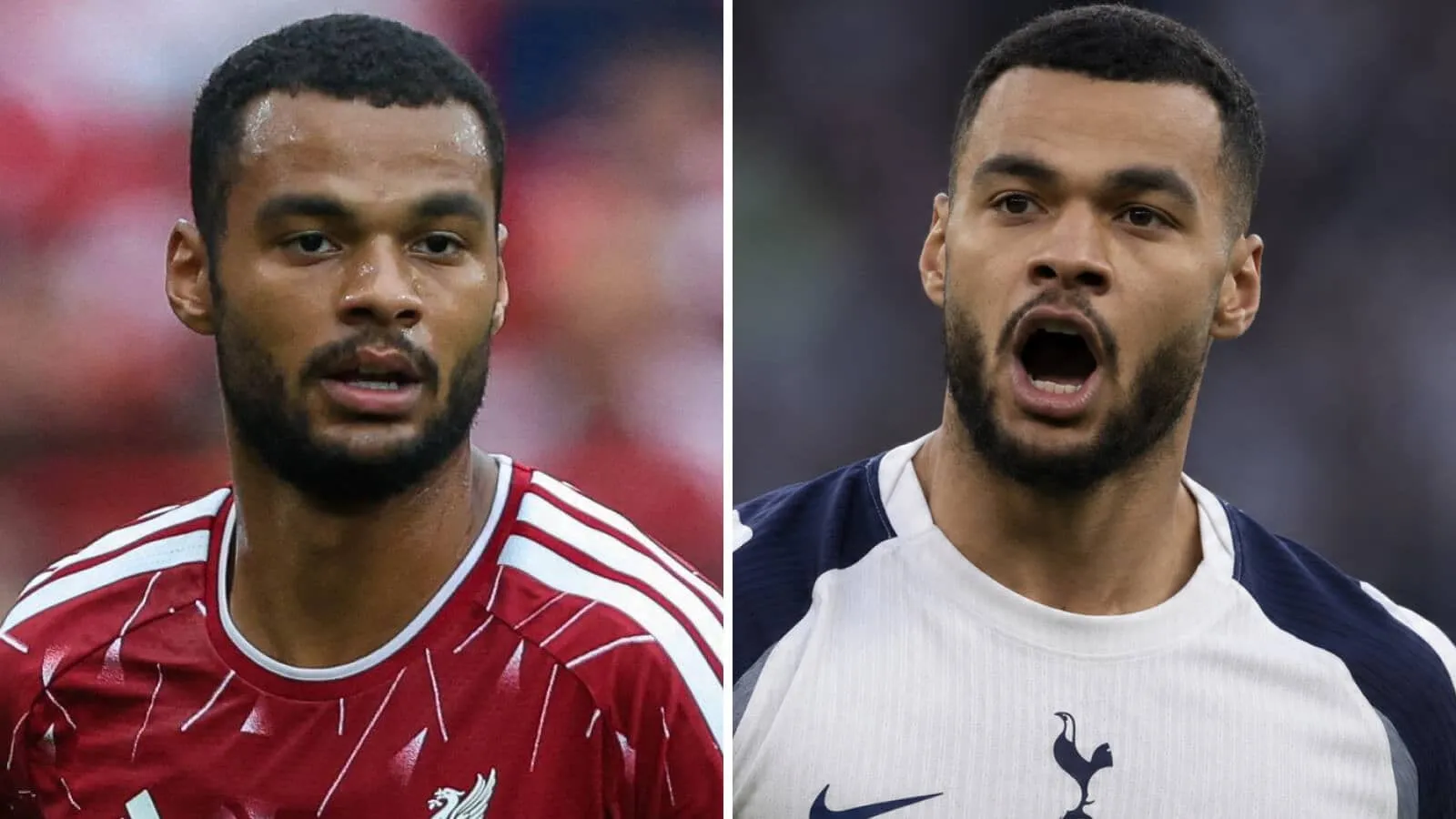Tottenham Hotspur mendapat peringatan terkait potensi kenaikan harga transfer Cody Gakpo dari Liverpool